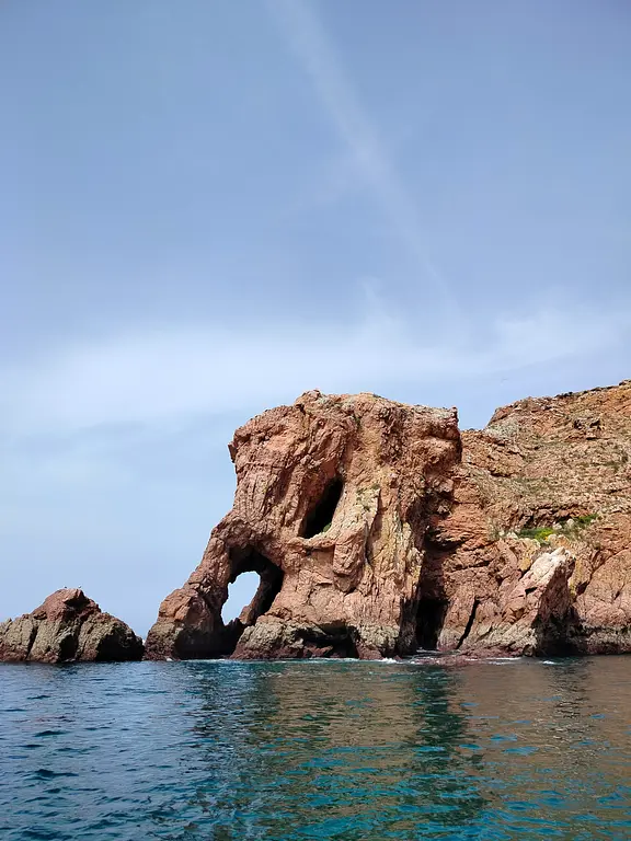 Elefante Berlengas