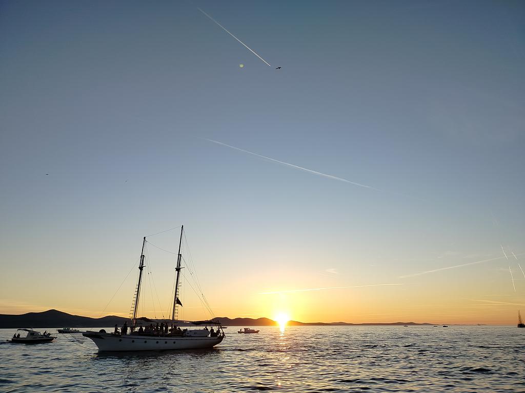 Organo De Mar