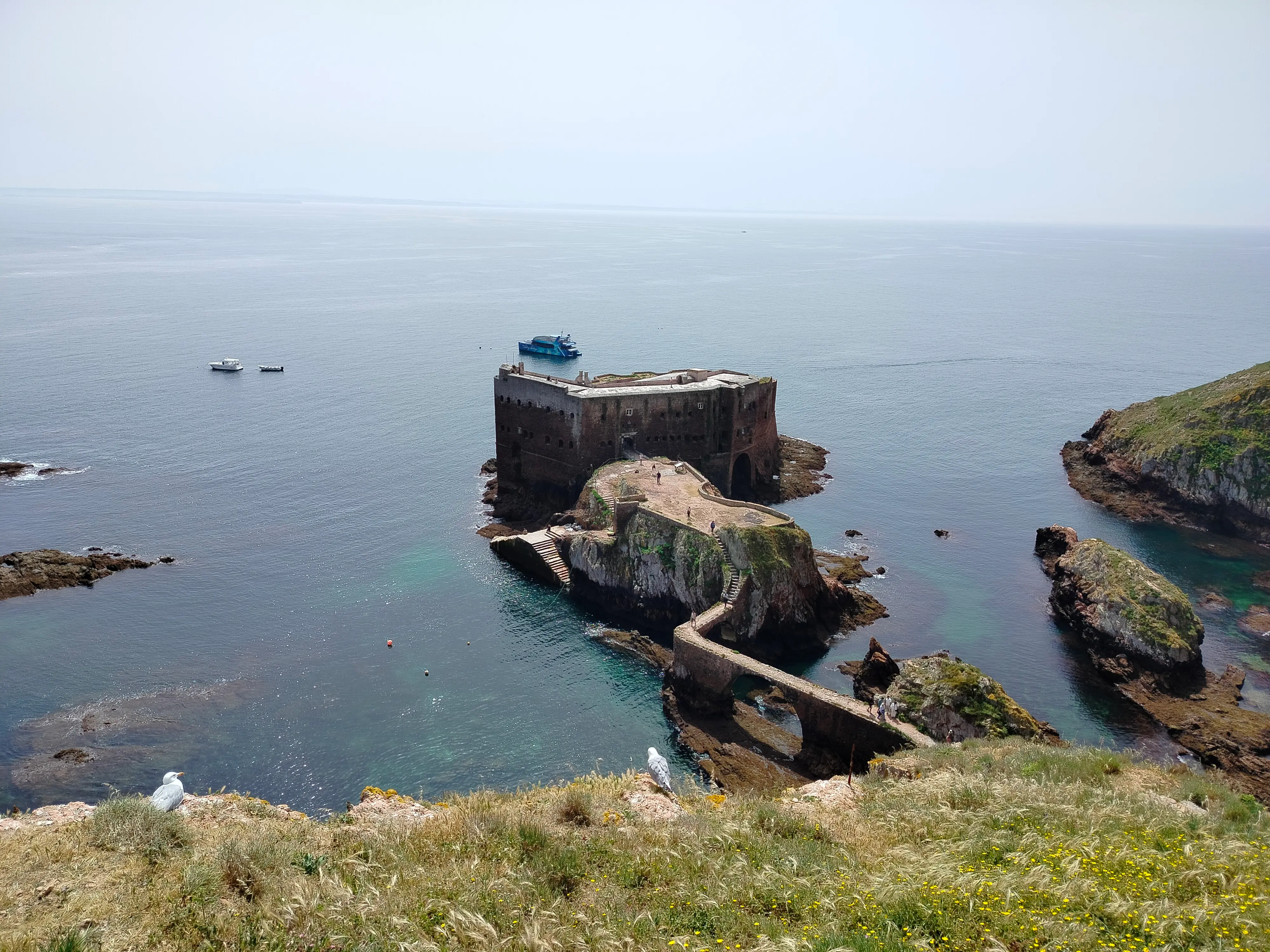Islas Berlengas Peniche